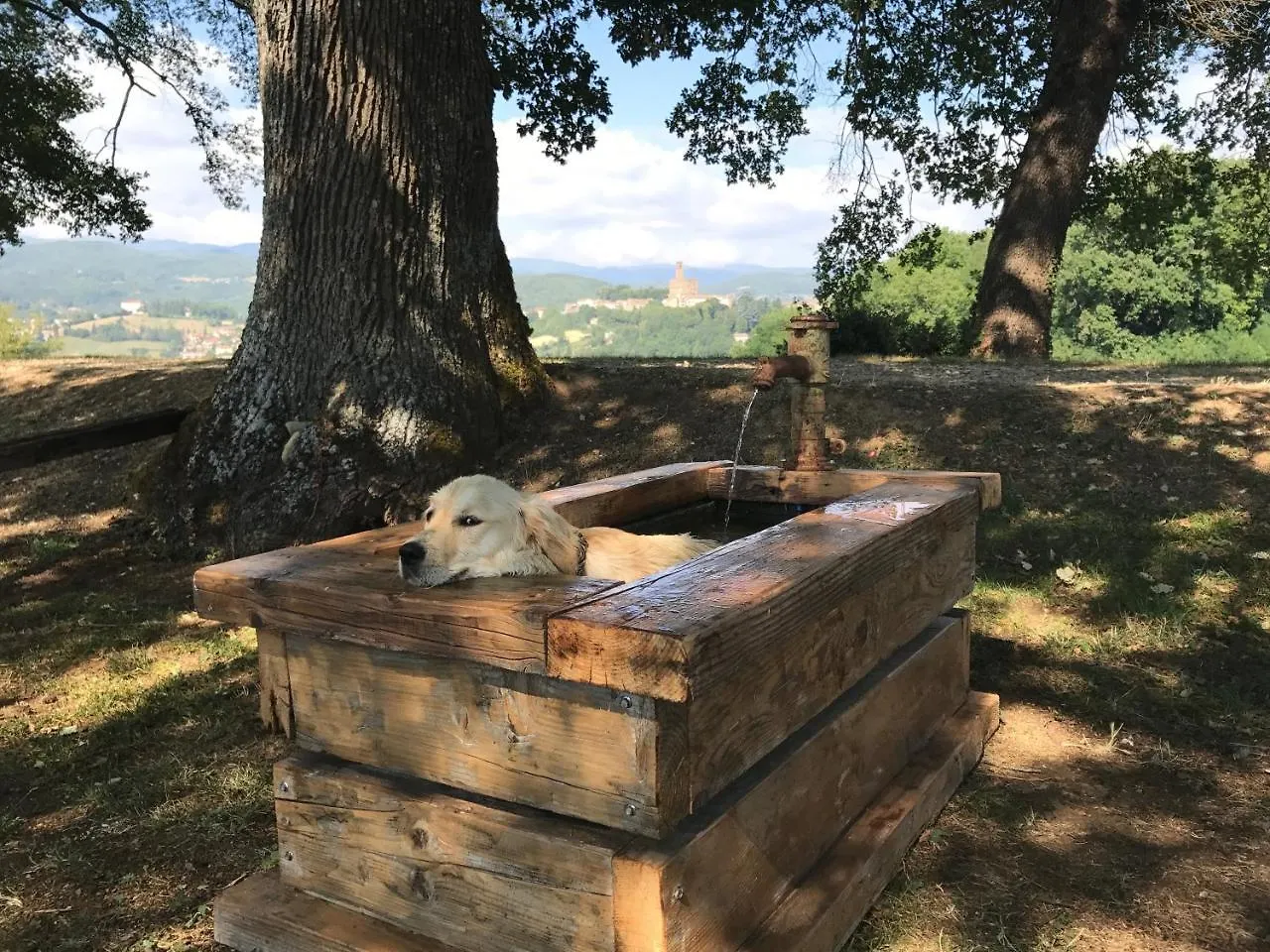 Fattoria Poggio Di Dante Hotel Poppi Olaszország