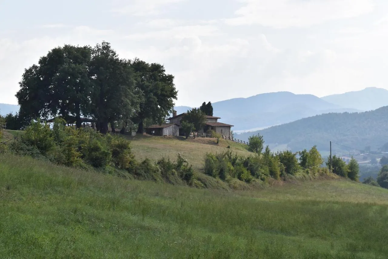Fattoria Poggio Di Dante Hotel Poppi Inn